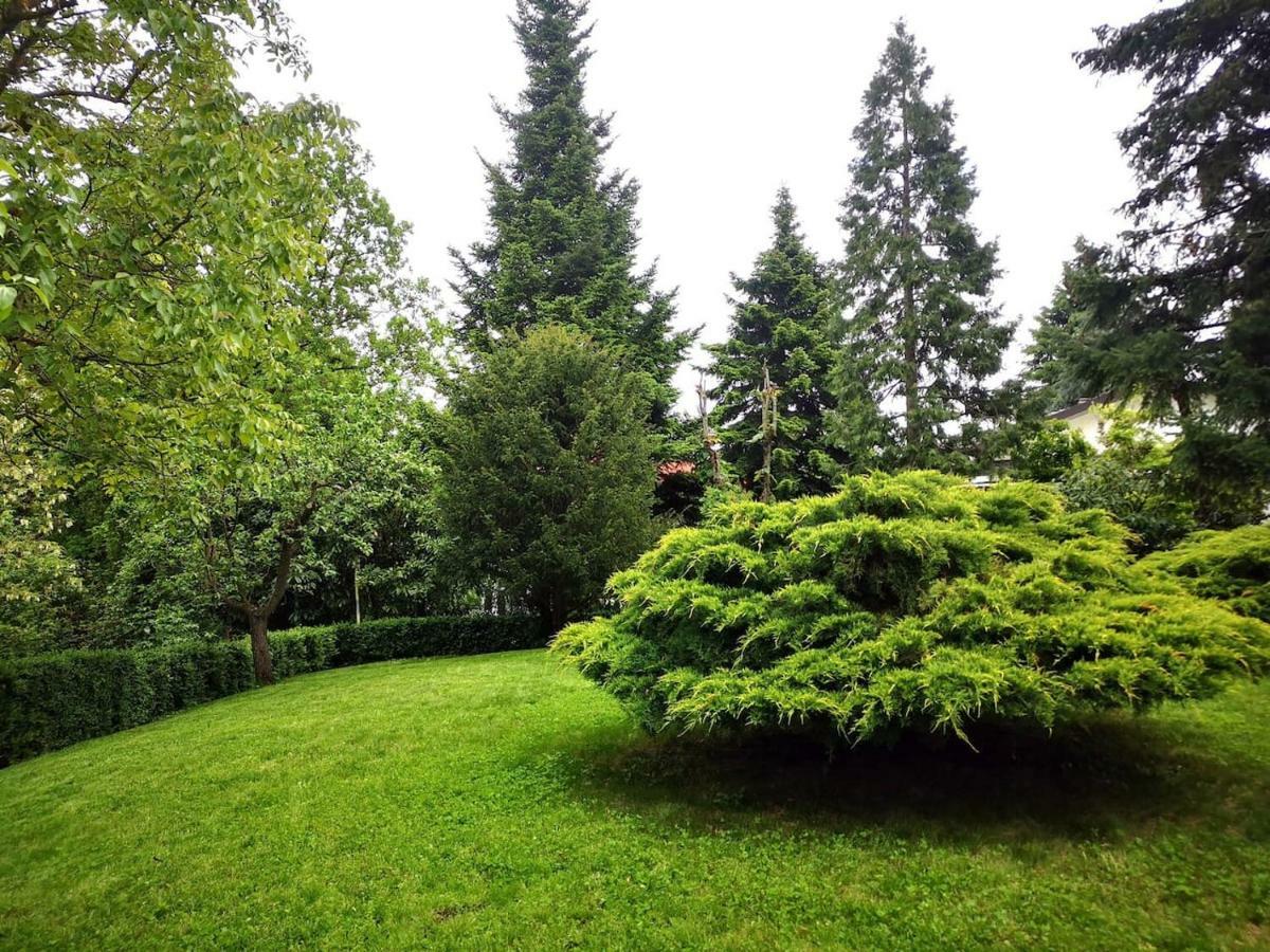 Casa Carla, Immersa Nel Verde Dei Colli Bolognesi Сассо-Марконі Екстер'єр фото